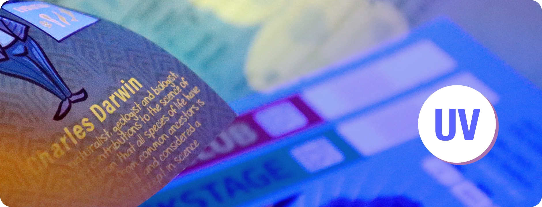 Oppaca's best blog of the year 2022 | Oppaca