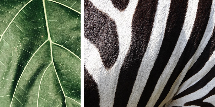 What is a pattern? | Oppaca