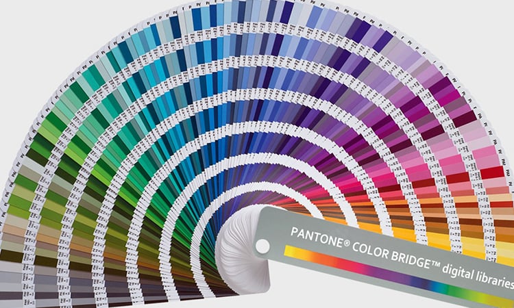 Pantone