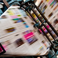 The ultimate guide to trapping | Oppaca